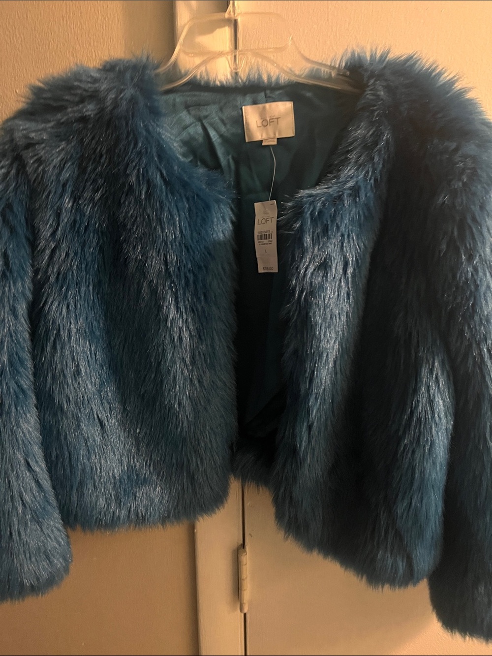 LOFT Teal Faux-Fur Teddy Jacket